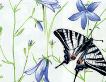 Флора 0225