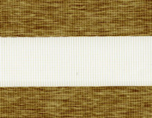 Зебра етник 2746